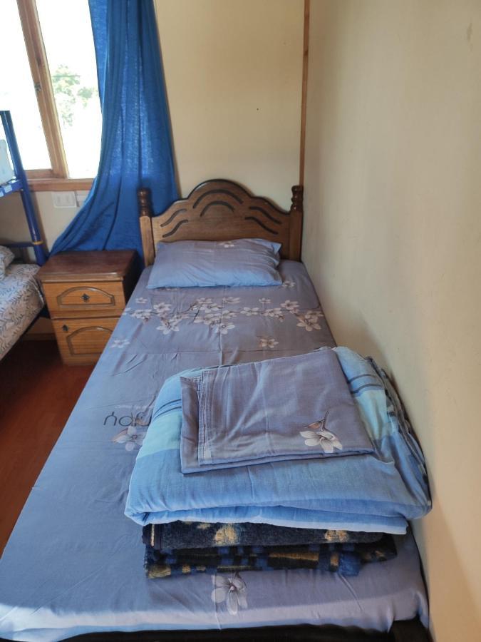 Alma Patagona Hostel Пуерто Транкило Екстериор снимка